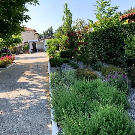 Villa Pleiades Boutique *