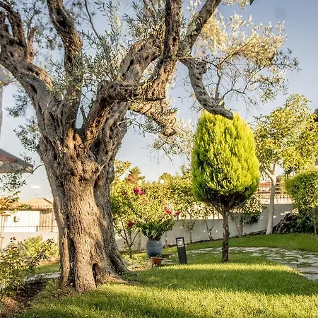 Pleiades Boutique Villa Kriopigi