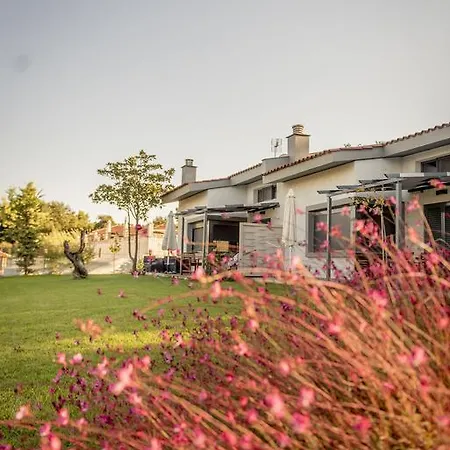 Pleiades Boutique Villa Kriopijí