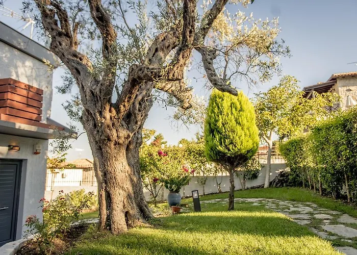 Pleiades Boutique Villas Villa Kriopigi