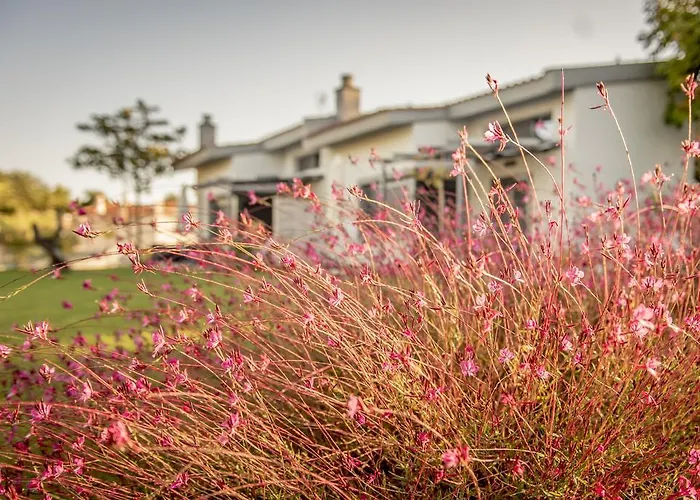 Villa Pleiades Boutique Villas